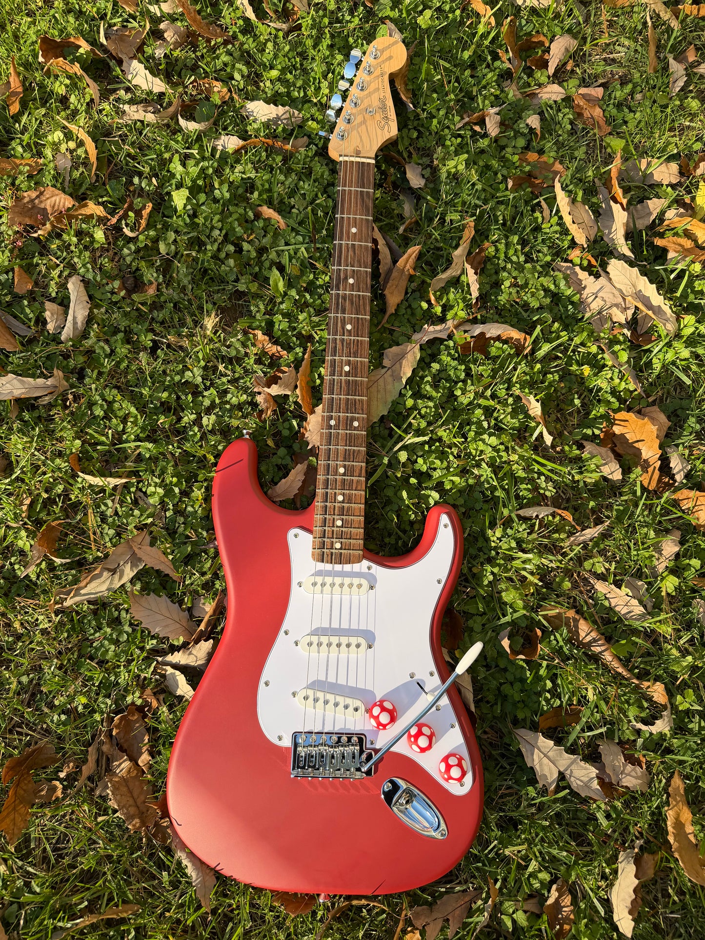 Mushroom Guitar Knob