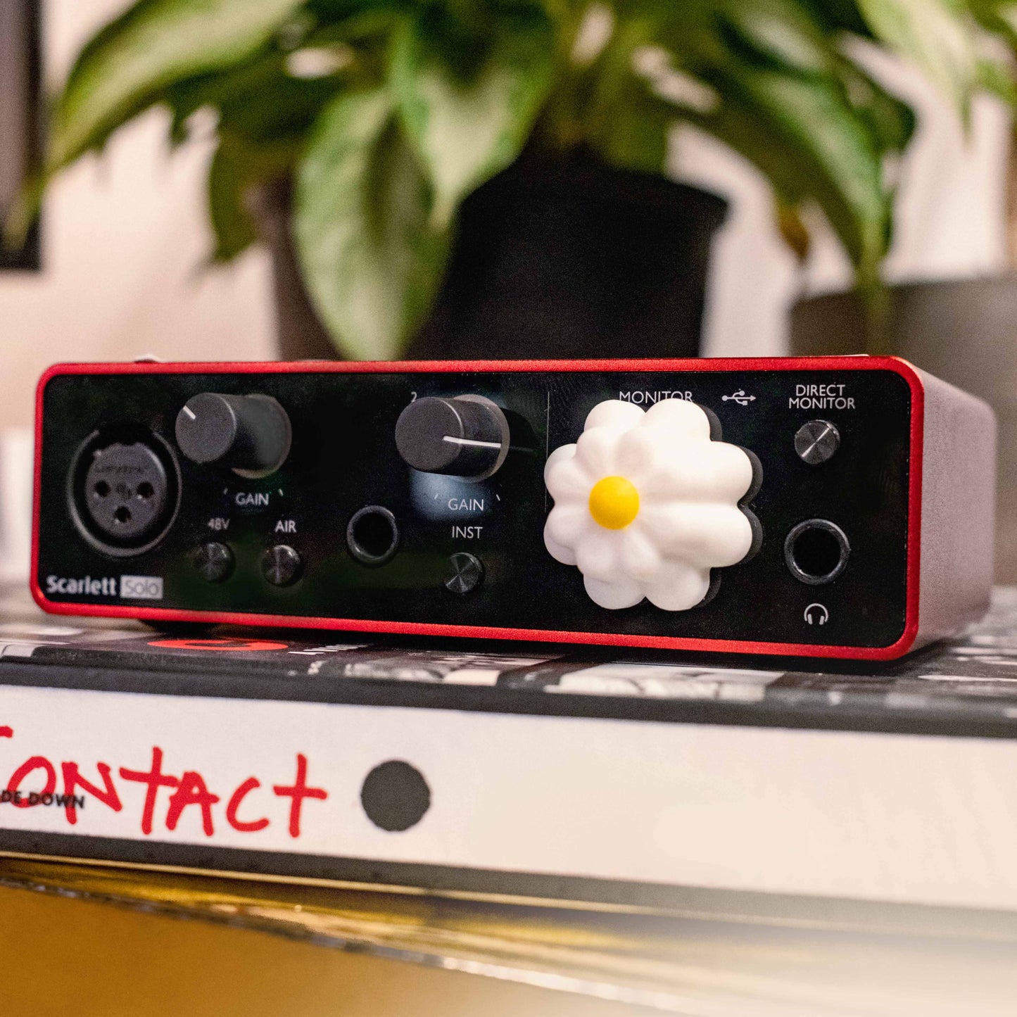 The Daisy Focusrite Knob