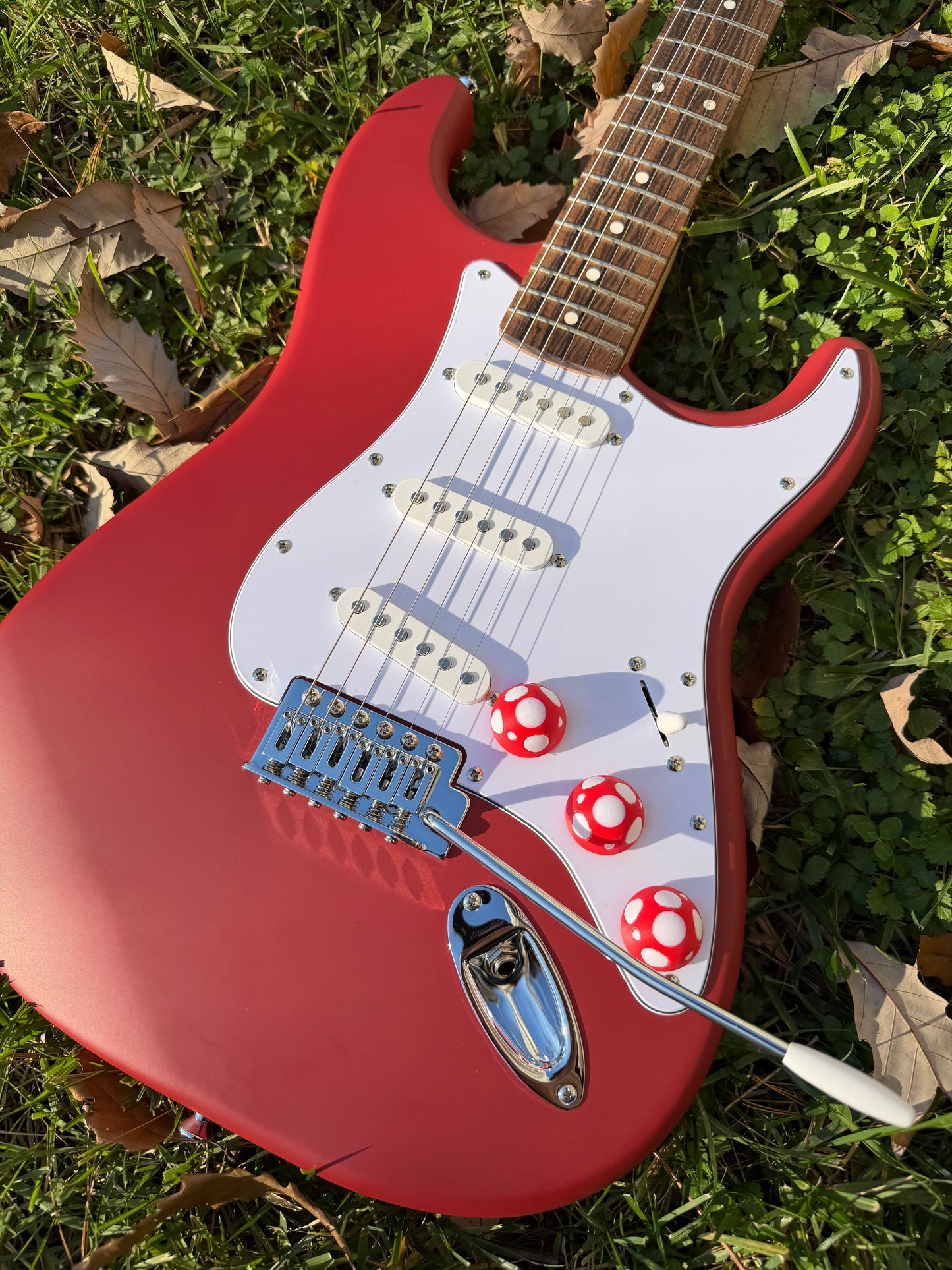 Mushroom Guitar Knob